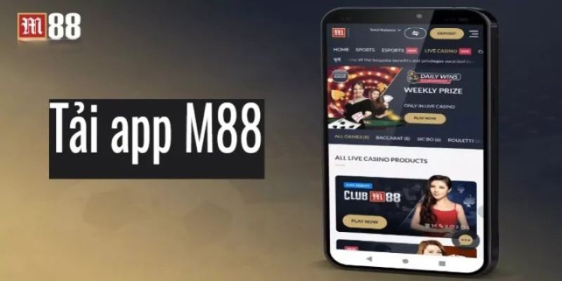 FAQ - Các câu hỏi liên quan tới app m88